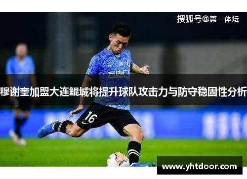 穆谢奎加盟大连鲲城将提升球队攻击力与防守稳固性分析